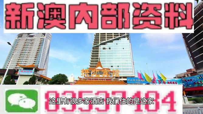 澳门最精准免费资料大全旅游团|公开解释解析落实,澳门最精准免费资料大全旅游团，解析落实与公开解释