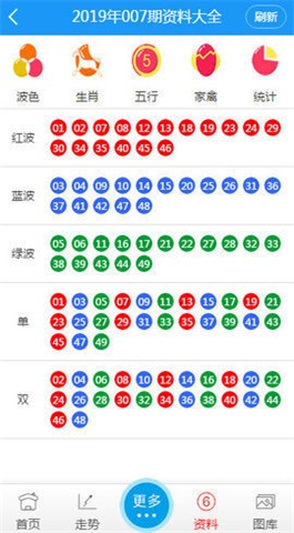 2024澳门天天开好彩大全53期|公开解释解析落实,澳门天天开好彩大全解析与落实策略（第53期）