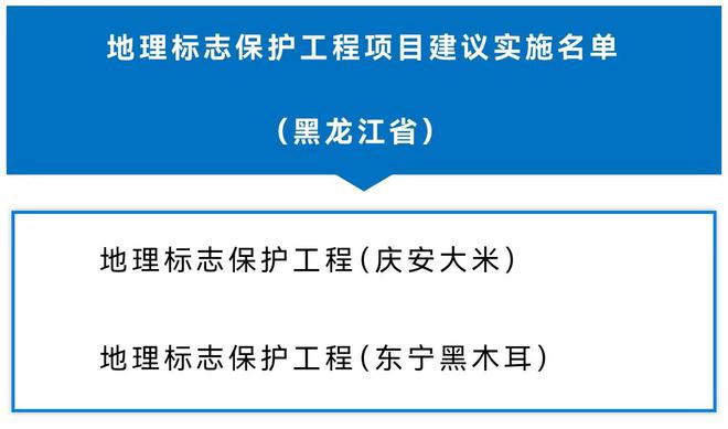 一肖一码一必中一肖|讲解词语解释释义,揭秘一肖一码一必中一肖，词语的深度解读与释义