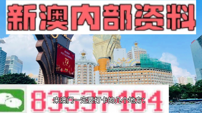 新澳门2024年正版免费公开,详细解答解释落实,关于新澳门2024年正版免费公开的全面解读与探讨