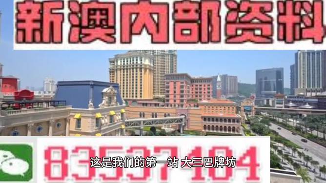 2024澳门精准正版免费,精选解析解释落实,澳门精准正版免费解析与落实策略探讨